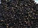 Clove09.JPG